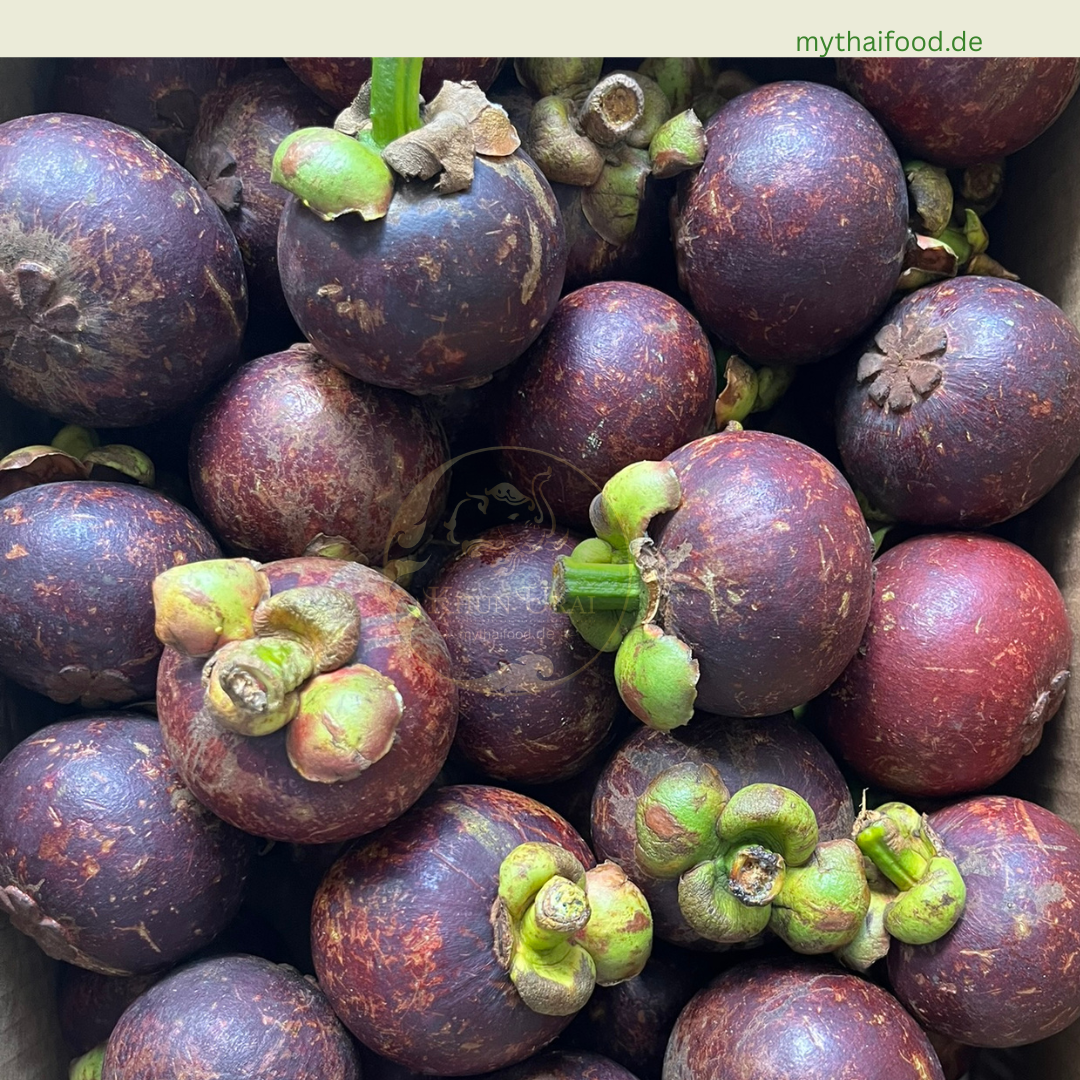 Mangosteen/ มังคุด