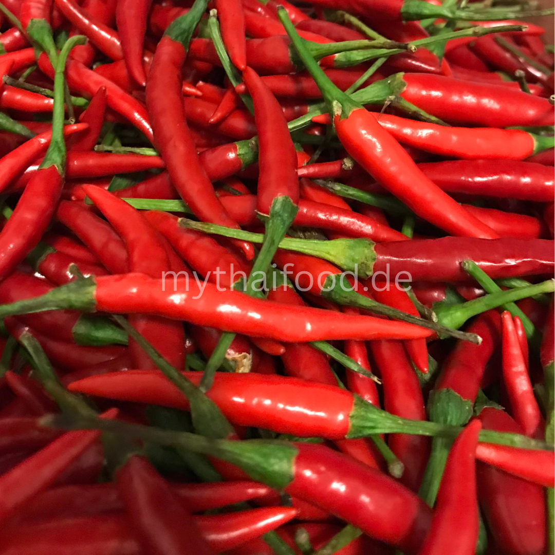 Rote Jinda Chilie/พริกแดงจินดา