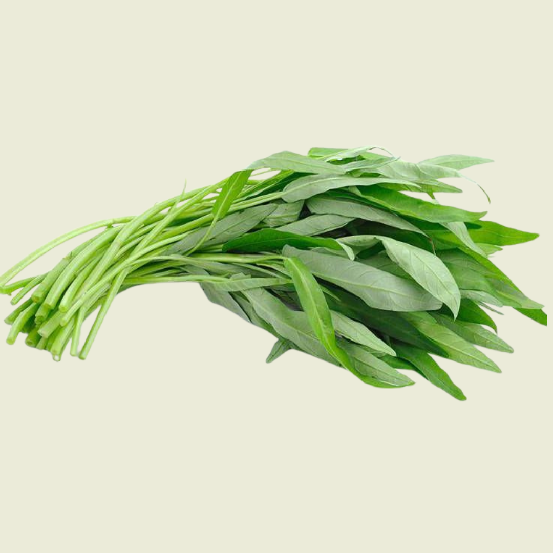 Chinesische Wasser Spinat/ ผักบุ้งจีน 100g