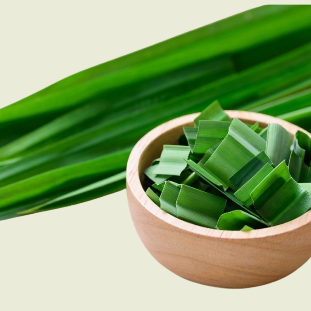 Pandan / ใบเตยสด 100g