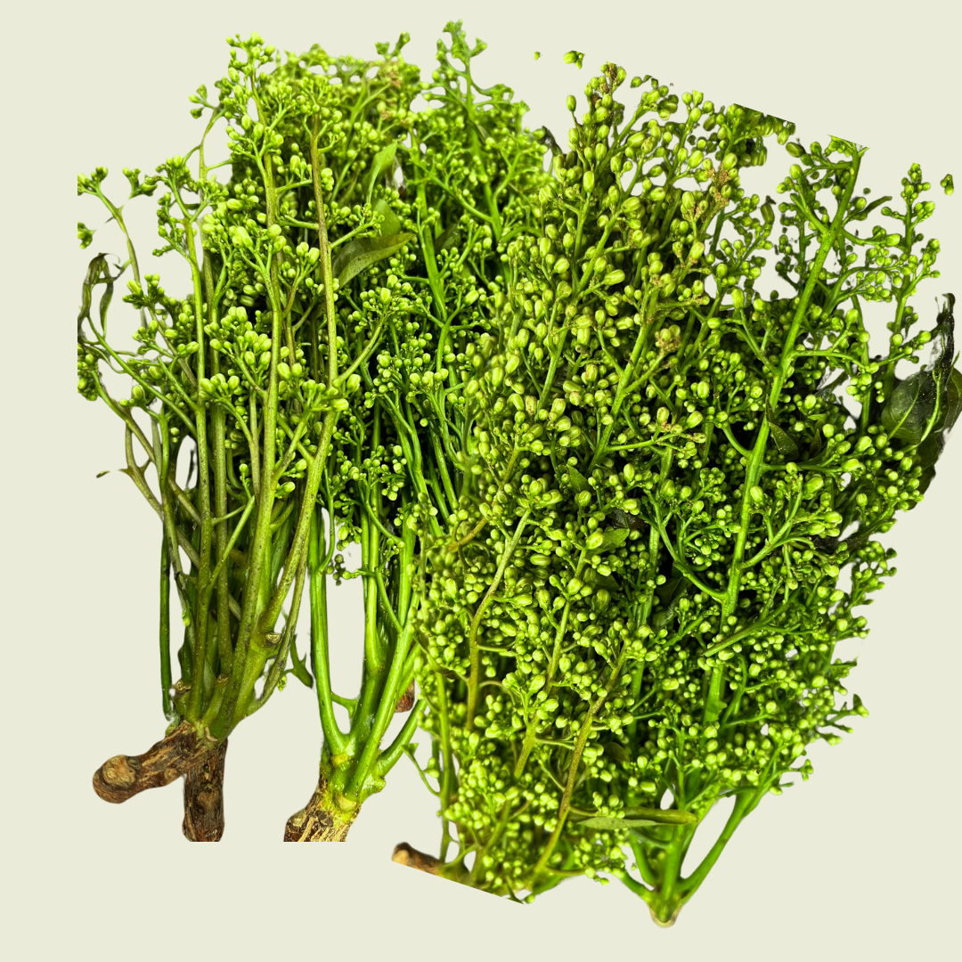 Sadaow Blumen /สะเดาดอก 100g