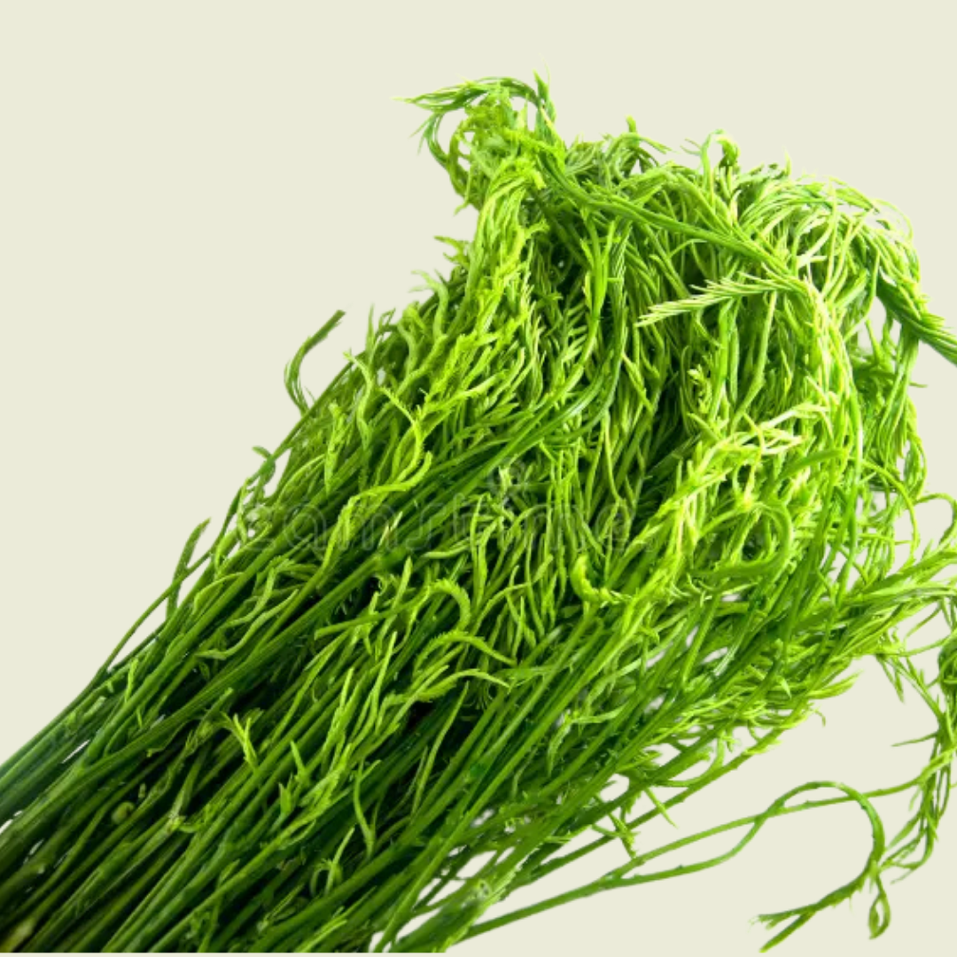 Acacia / ชะอม