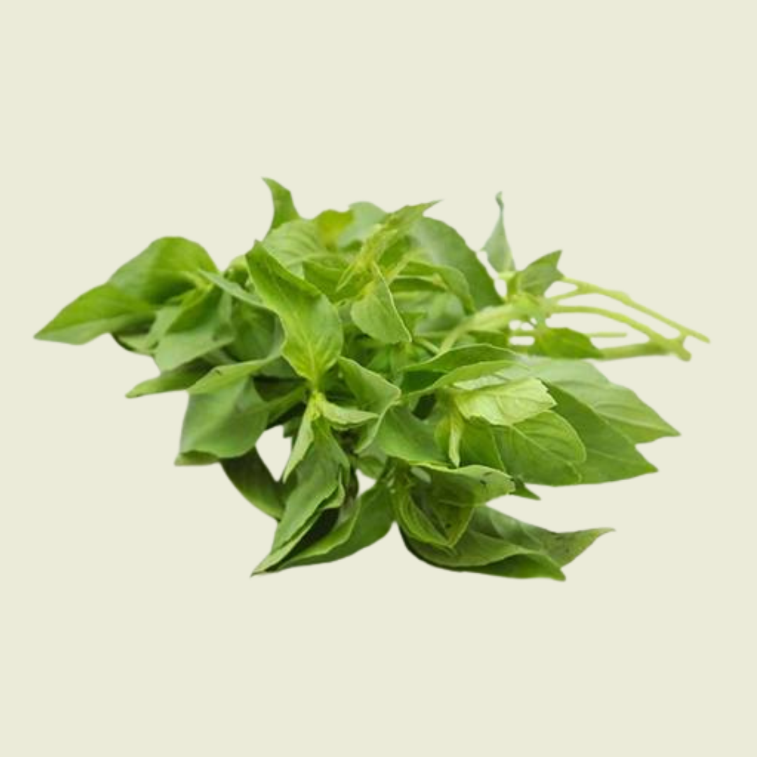 Hairy Basil/ Mang Lak/แมงลัก 100g.