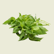 Mang Lak/Hairy Basil/แมงลัก 100g.