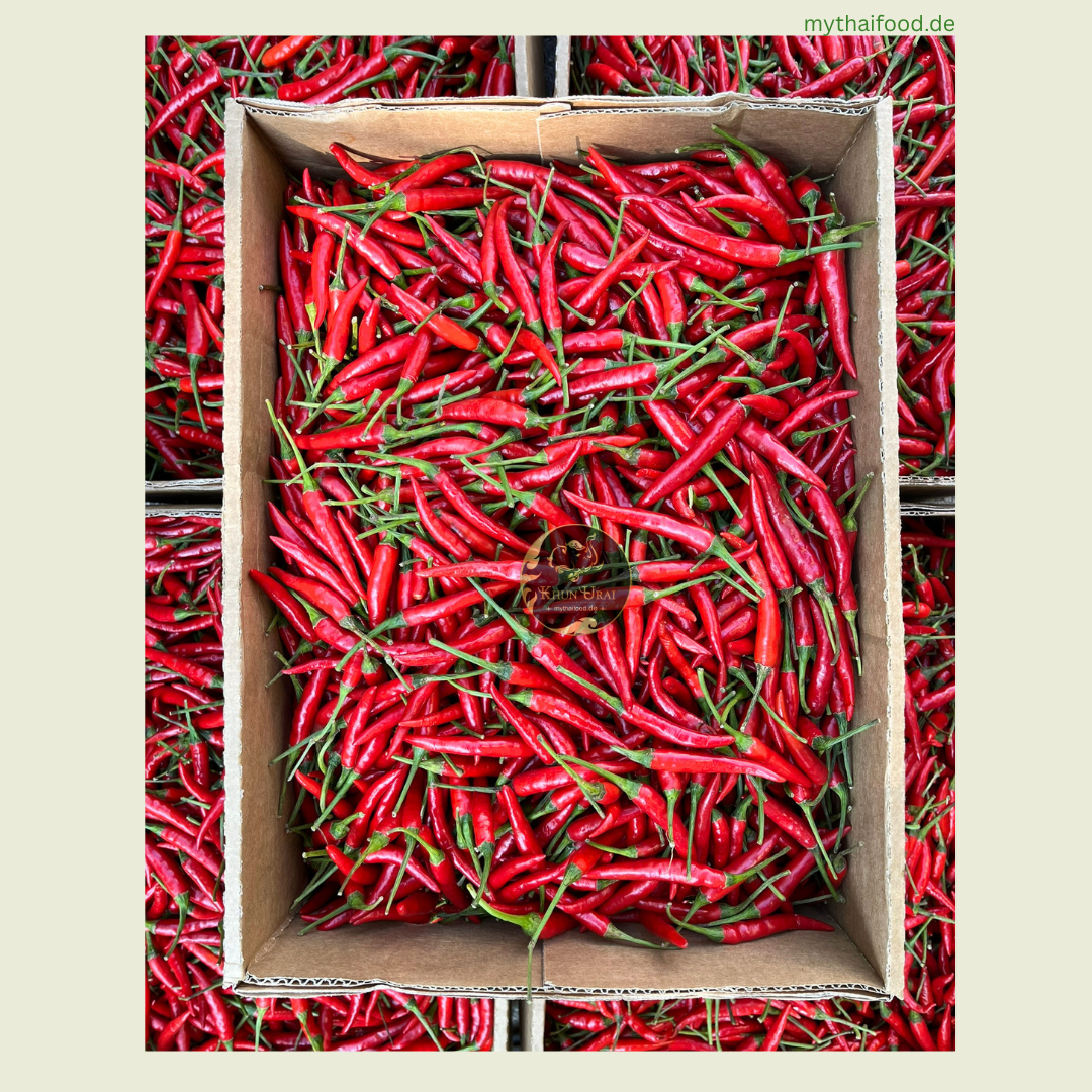 Rote Jinda Chilie/พริกแดงจินดา