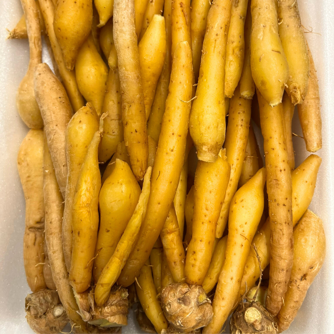 Kaempfer / กระชาย 100g.