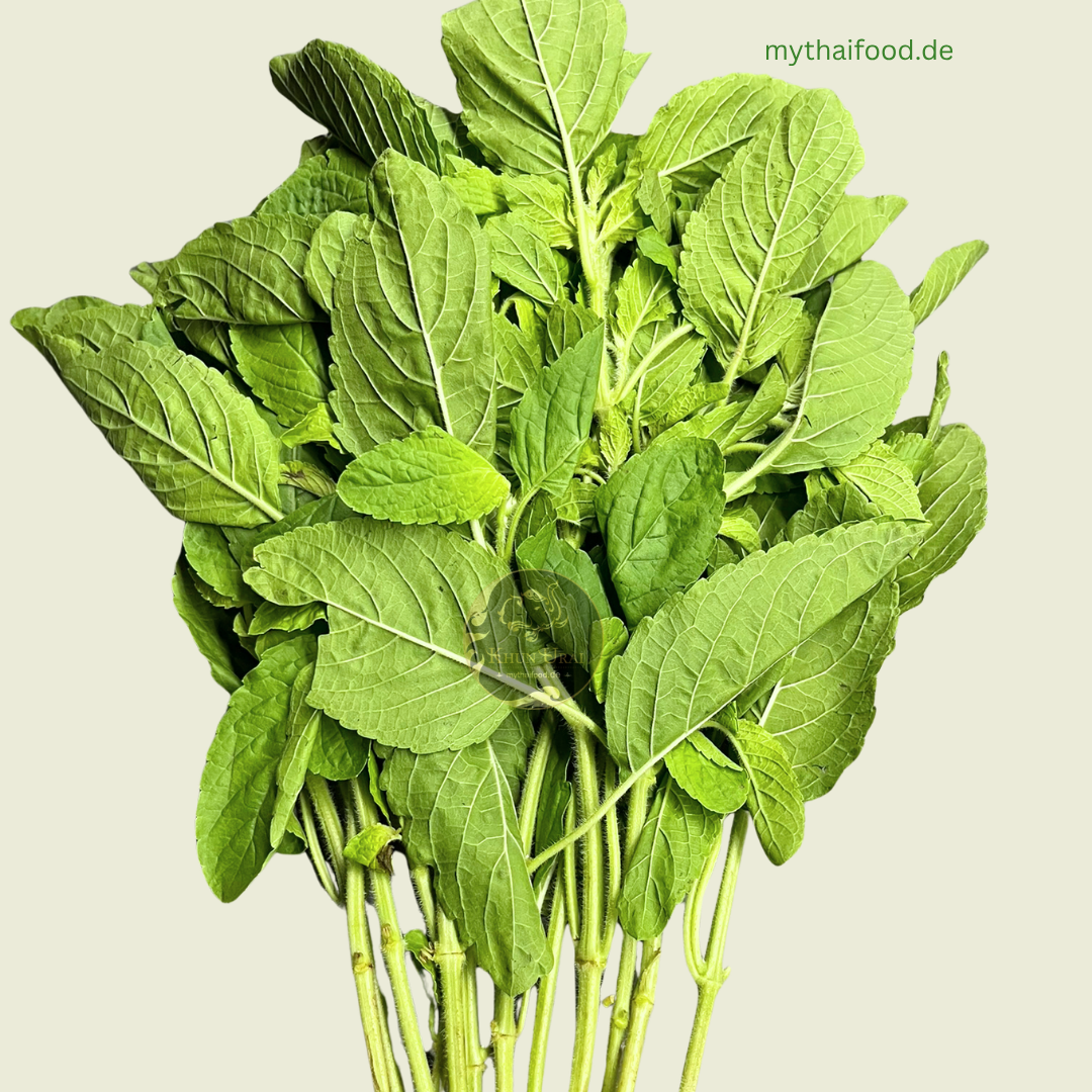 V-Holy Basilikum/Kra Praow/กระเพรา 100g