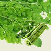 Moringa Blätter / ยอดมะรุม 200g