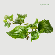 Cha Phlu Bläter/ ใบชะพลู 100g.