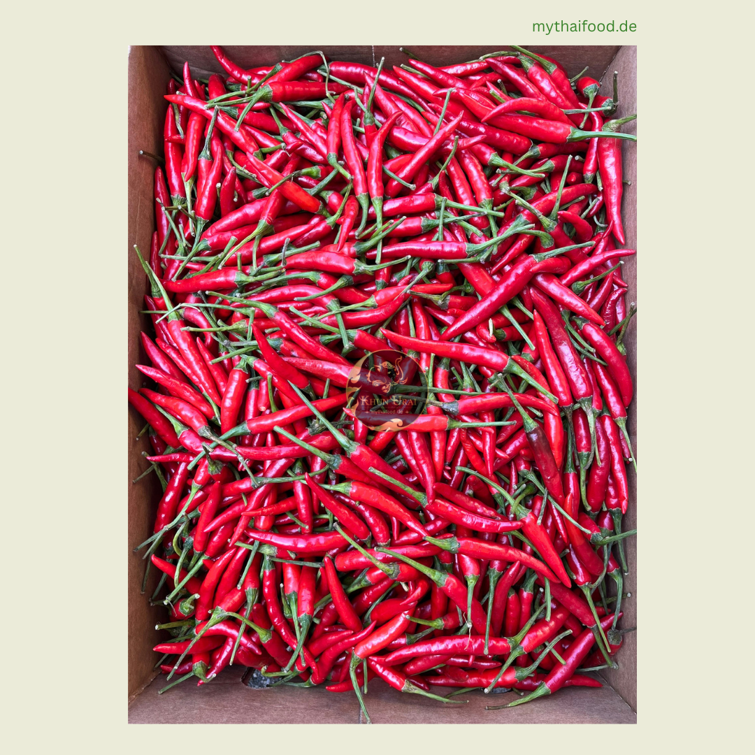 Rote Jinda Chilie/พริกแดงจินดา