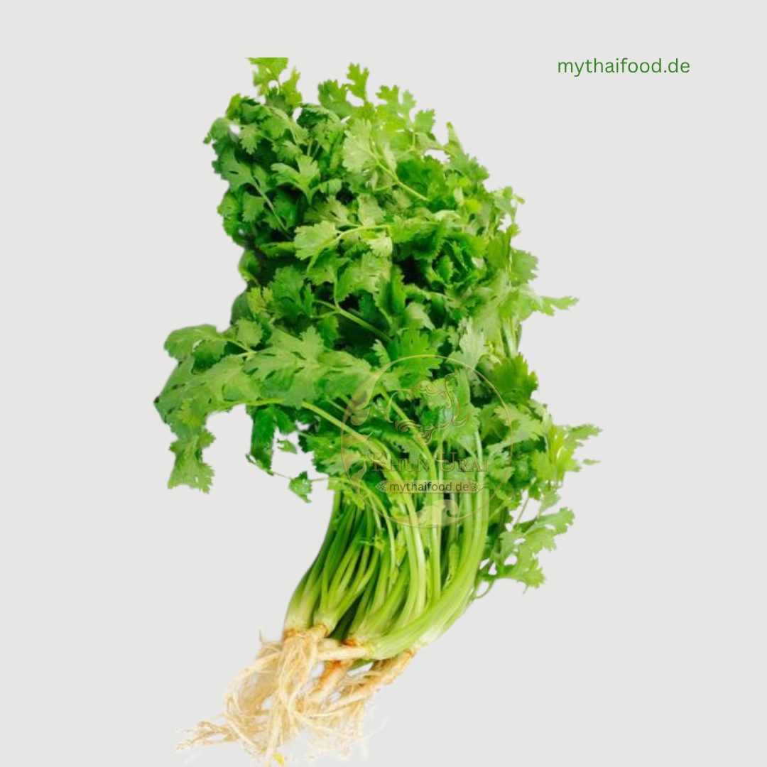 Coriander/ ผักชี 100g