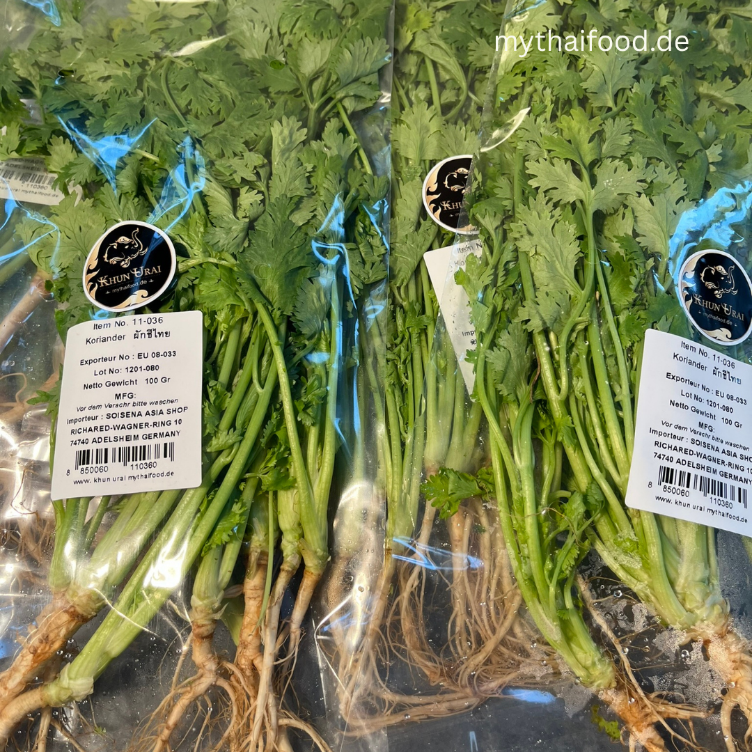 Koriander/ ผักชีจีน 100g