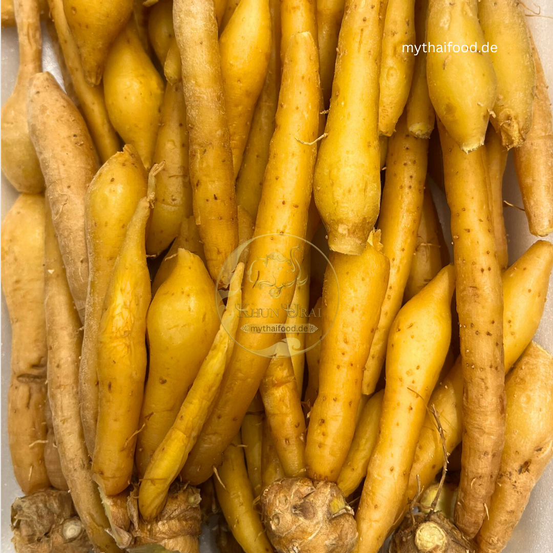 Kaemfer/Krachai/กระชาย