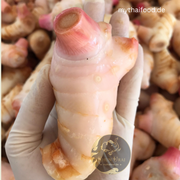Galangal/ ข่า 100g
