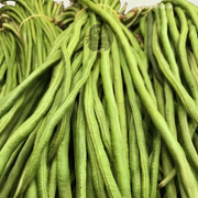 Spargel Bohnen/Longbean 500g/ถั่วฝักยาว