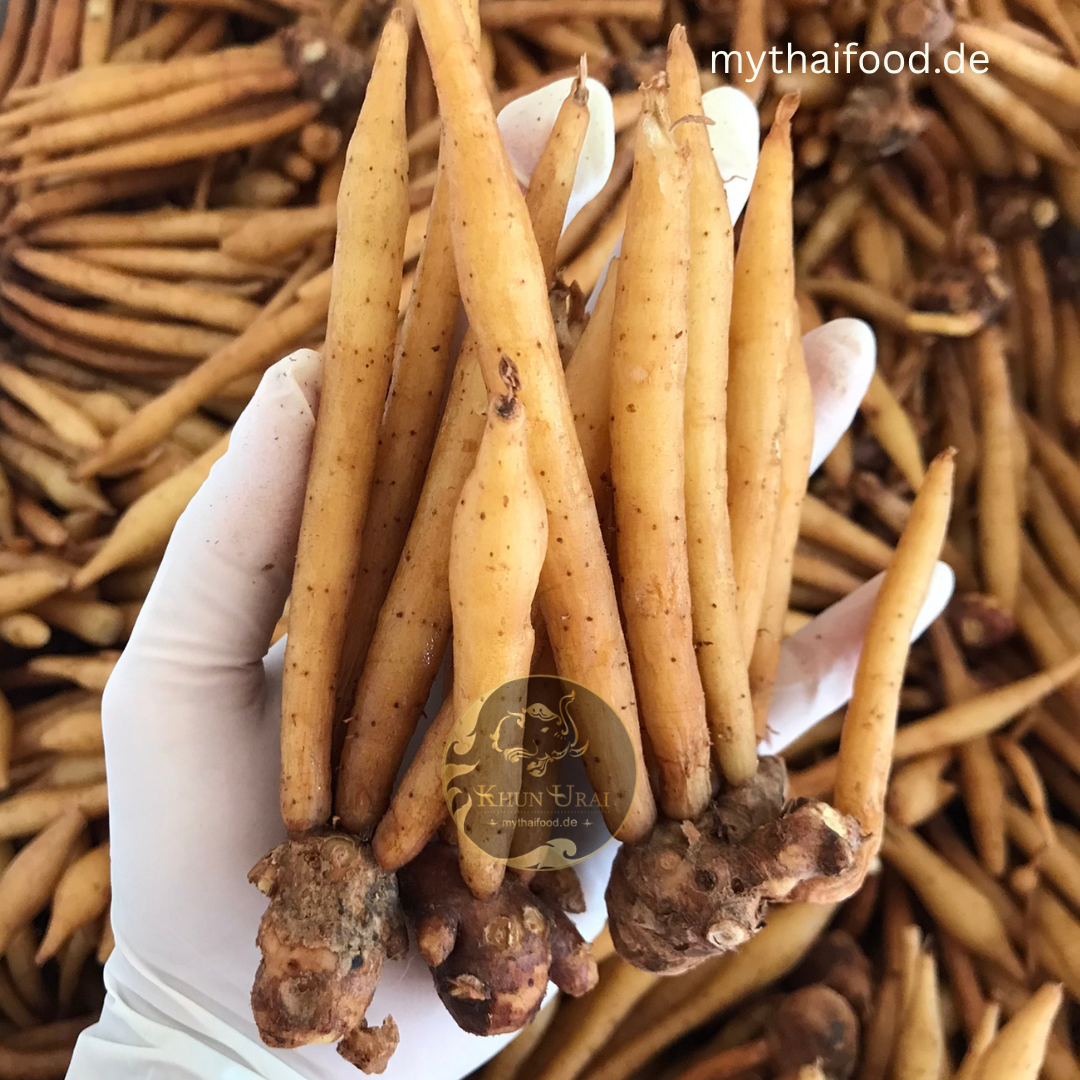 Kaempfer / กระชาย 100g.