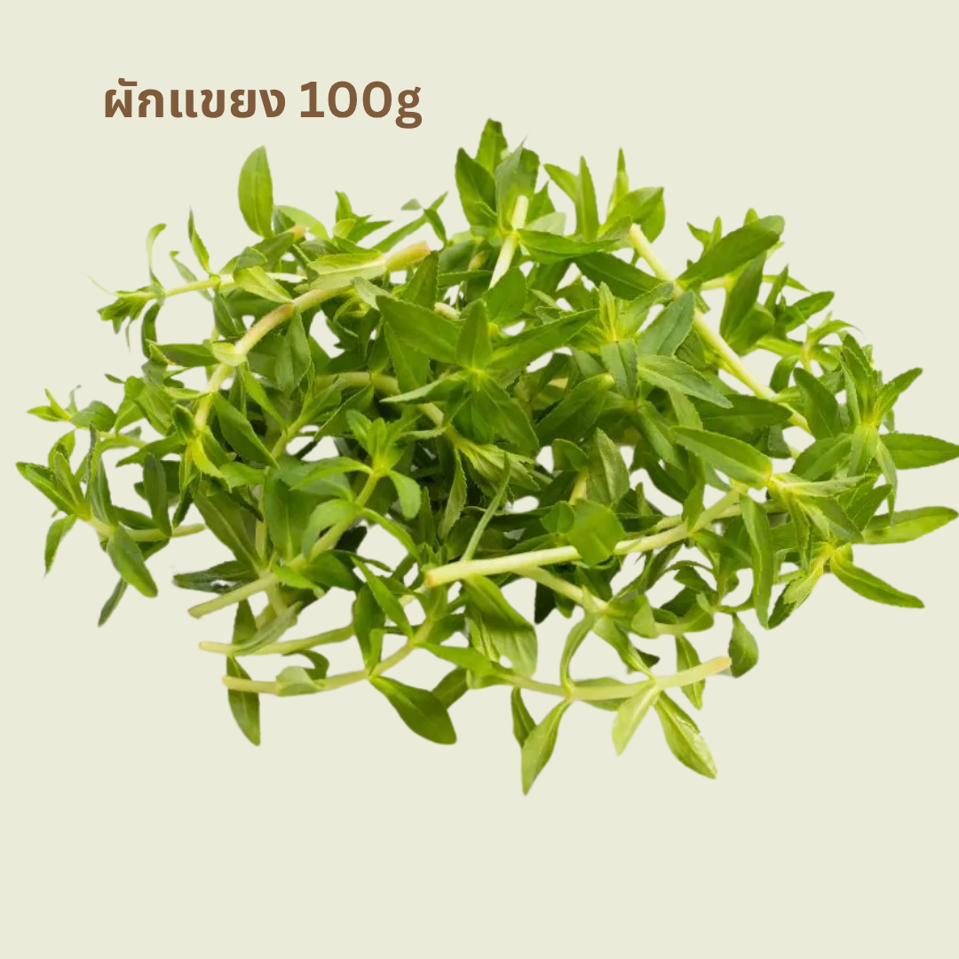 Kayang/ ผักแขยง 100g