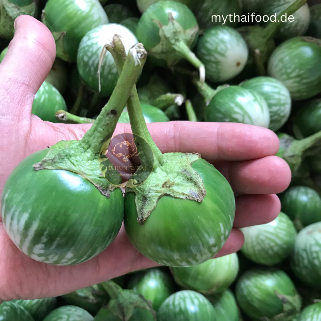 Thai Aubergine/มะเขือลายคางกบ 700g
