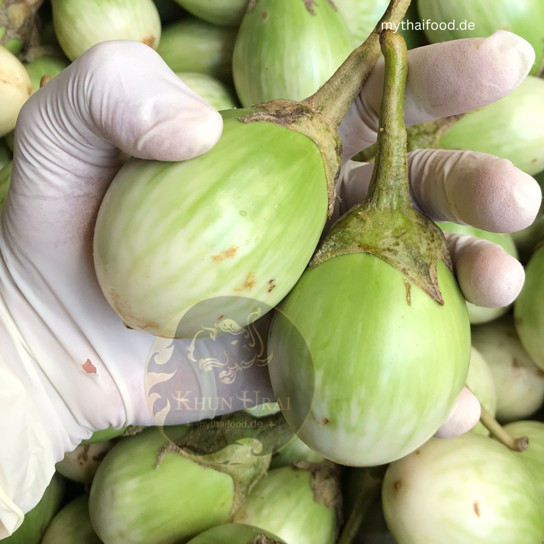 CP-Th Aubergine1000g/มะเขือเปราะเจ้าพระยา
