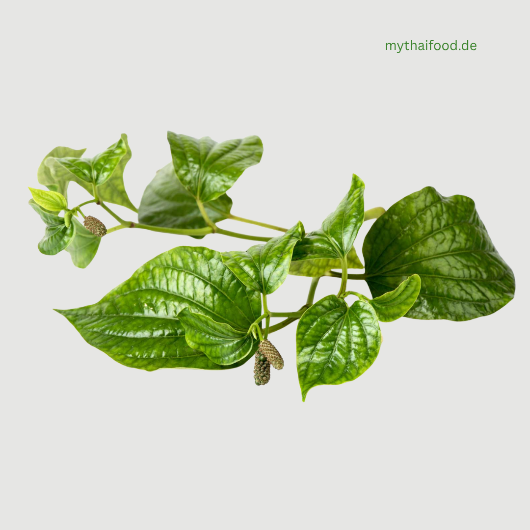 V-Cha Plu/ ชะพลู 100g