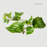 V-Cha Plu/ ชะพลู 100g