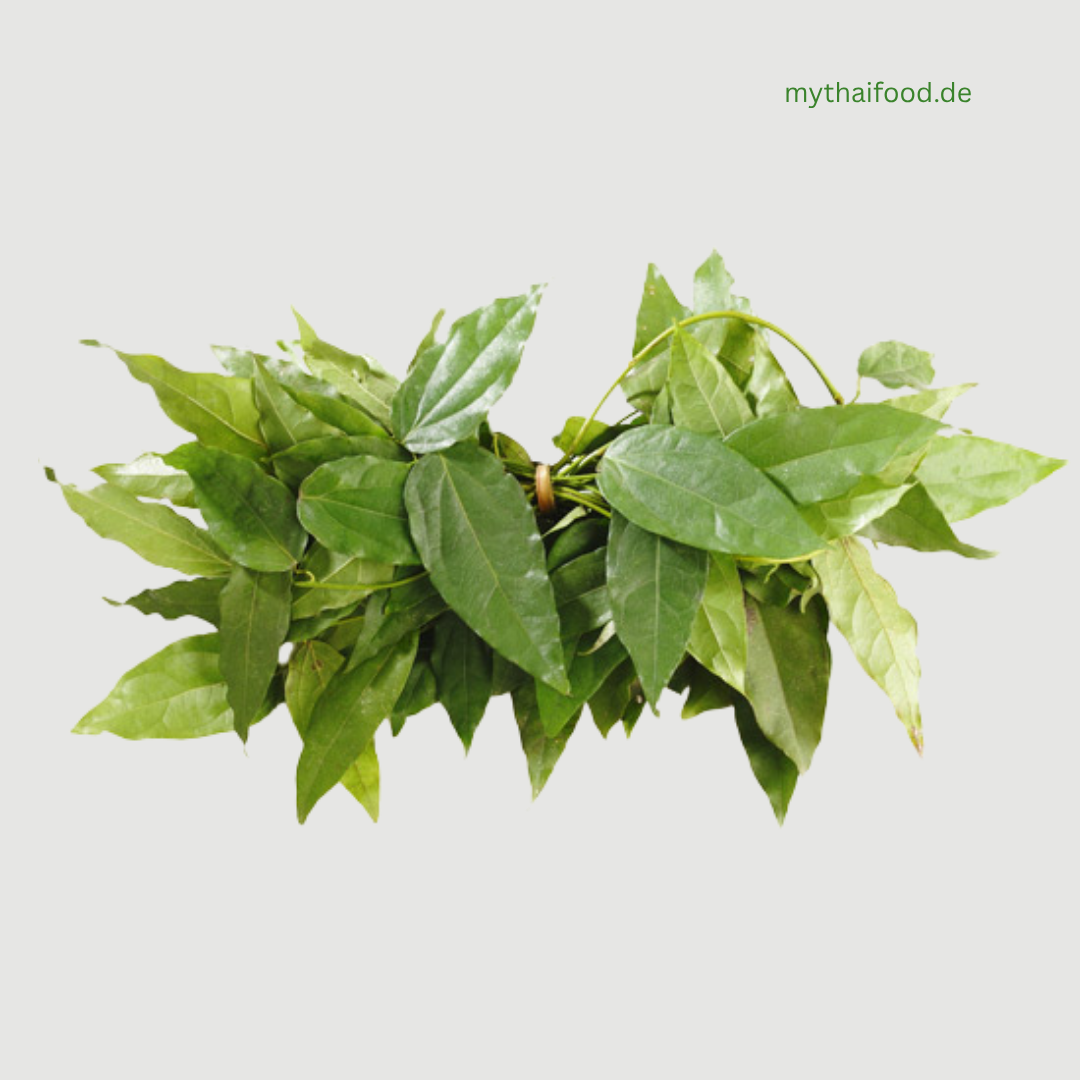 Yanang Blätter 100g/ใบย่านางสด