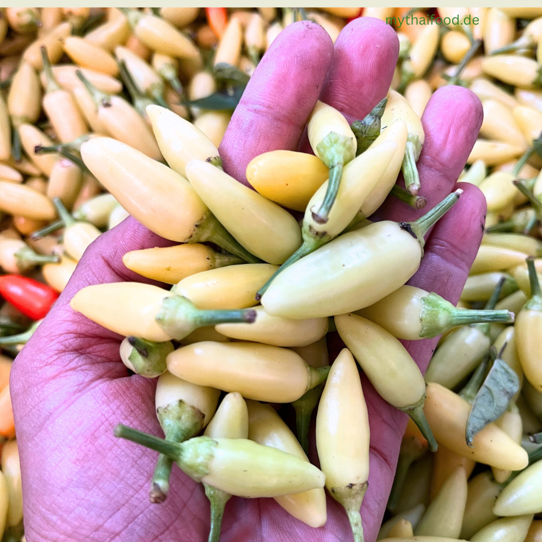 Laos Chilie500g/พริกลาว
